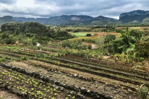 Jardin Las Terrazas CUBA-EXCLUSIVO.jpg