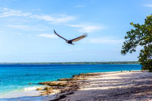 Maria la gorda beach cuba-exclusivo.jpg