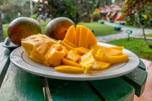 Mango Soroa CUBA-EXCLUSIVO.jpg