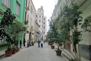 calle en el centro.jpg