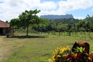 Natur Baracoa Cuba-Exclusivo.JPG