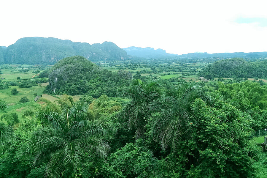 Vinales